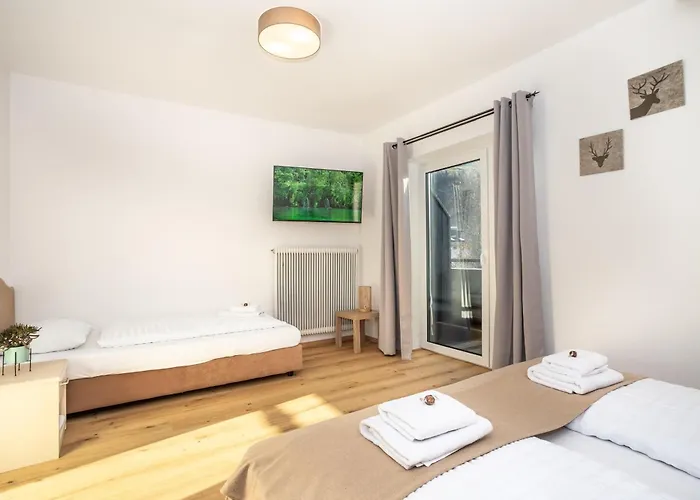 Alpina Apartments - Zell Am See