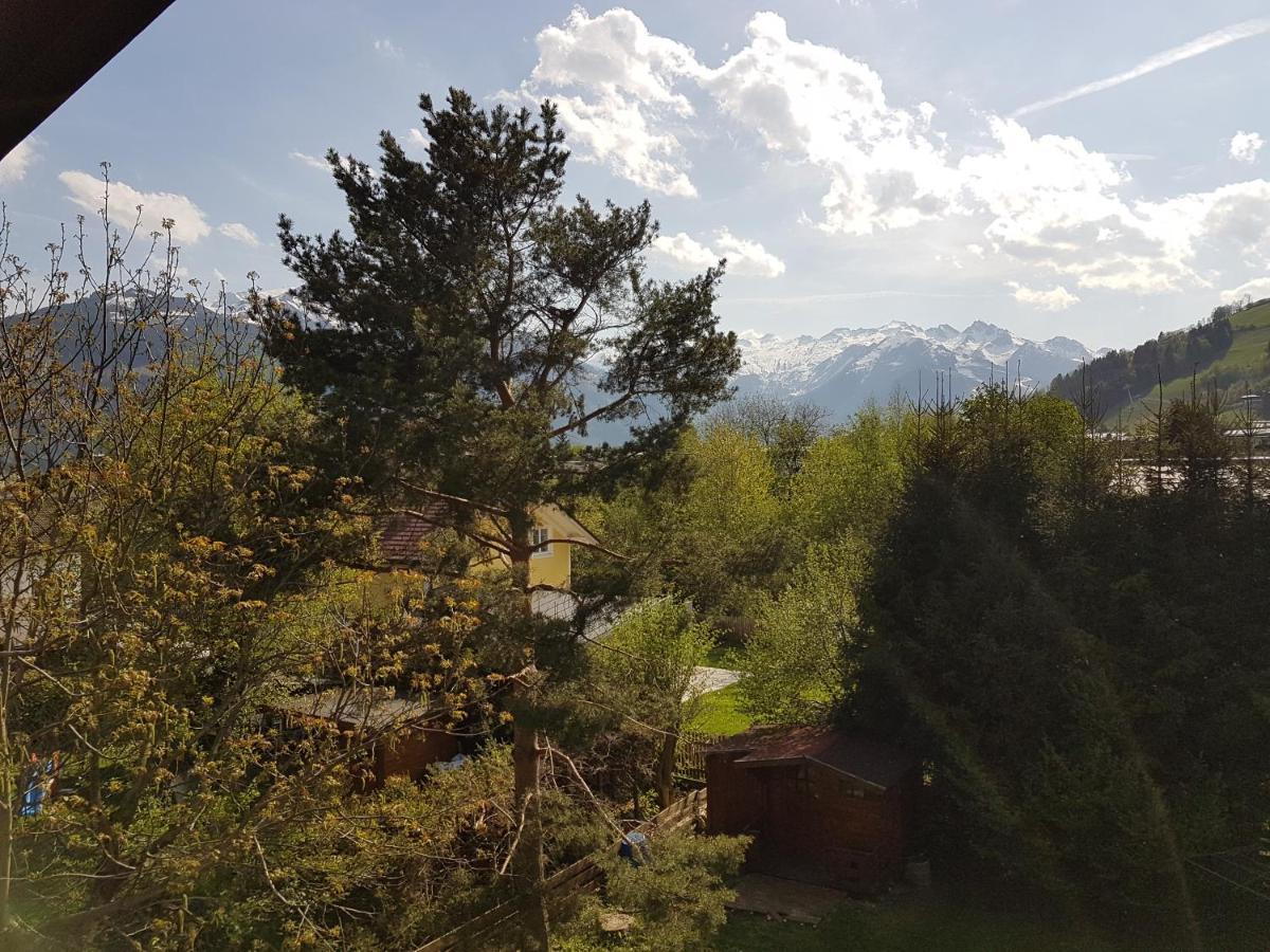 Alpina - Zell Am Apartmán