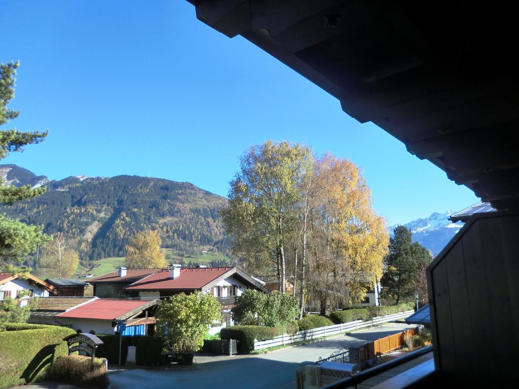 Apartment Alpina Apartments - Zell Am See *